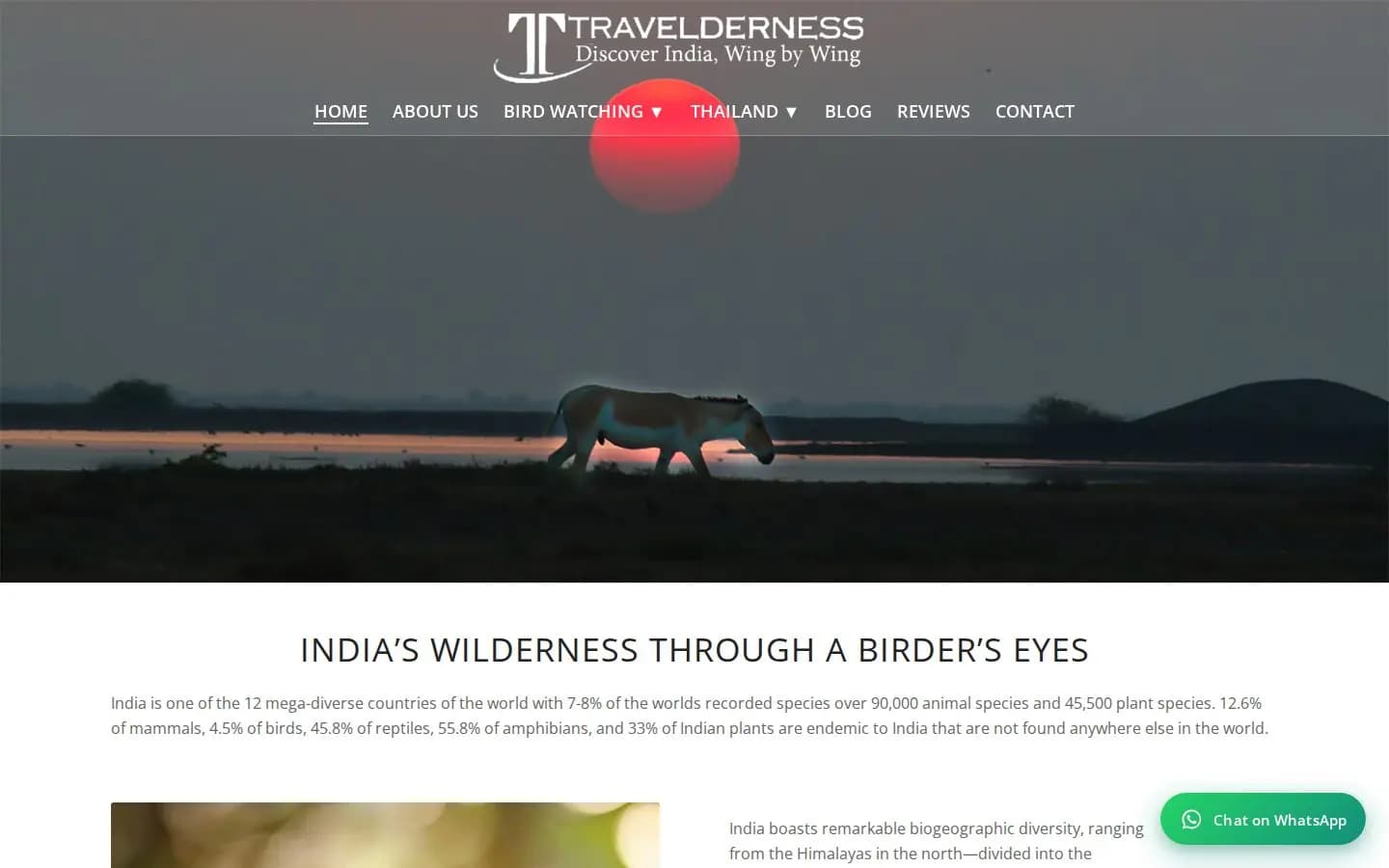 वन्यजीव दृश्य और बर्ड वॉचिंग मेनू के साथ Travelderness का होमपेज
