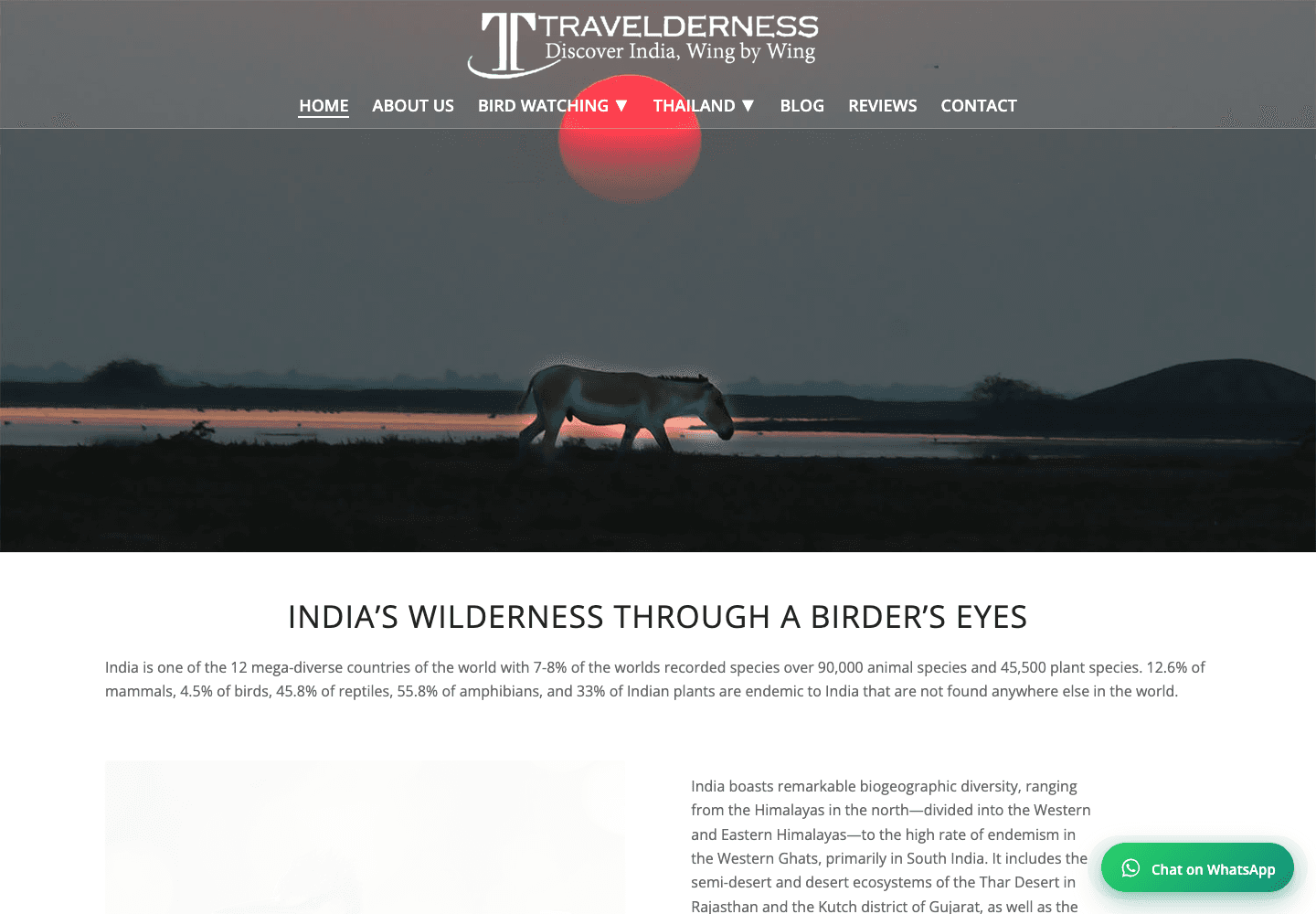 Travelderness वेबसाइट की झलक
